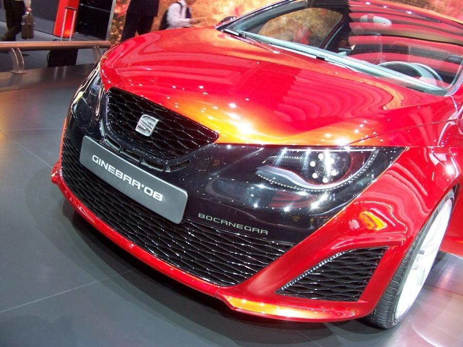  Seat SportCoupe Bocanegra 2008 года  (фото 3 из 15)